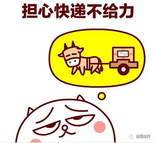 隴運集團武都汽車站、成縣汽車站、康縣汽車站快運
